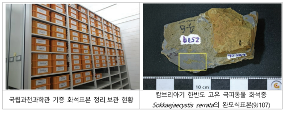 국립과천과학관 기증 표본