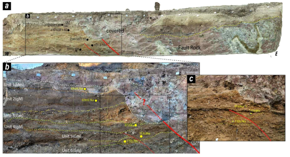 (a) 괴시리 지점의 굴착 단면(남쪽) 노두 사진 및 연대분석 시료채취 지점. (b, c) 굴착 단면에서 확인된 제4기 단층, 층서분대 및 퇴적단위별 OSL 연대