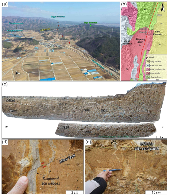 (a) 반곡리에 발달하는 선상지의 전경. (b) 연구지역 주변의 지질도(KIGAM, 2019). (c) 굴착단면의 퇴적양상 및 연대측정결과 (d) 소단층에 의해 변위된 토양쐐기. (e) 실트층 내에 발달하는 연질퇴적변형구조