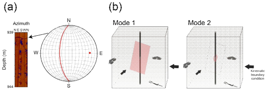 삼차원 유한요소 모델을 통한 시추공벽 압축 파쇄대의 회전양상 분석, 모델에 사용한 단층 정보(a) 및 두 가지 가정을 모사한 모델 모식도(b)