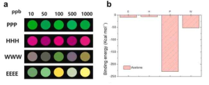 파지 컬러필름 측정 결과 및 당뇨진단용 바이오마커 케톤대사체(아세톤) 분석. (a) 아세톤 농도에 따른 색상 차이 패턴. (b) DFT 시뮬레이션에서 계산된 4개의 시험된 아미노산에 대한 아세톤의 결합 친화도