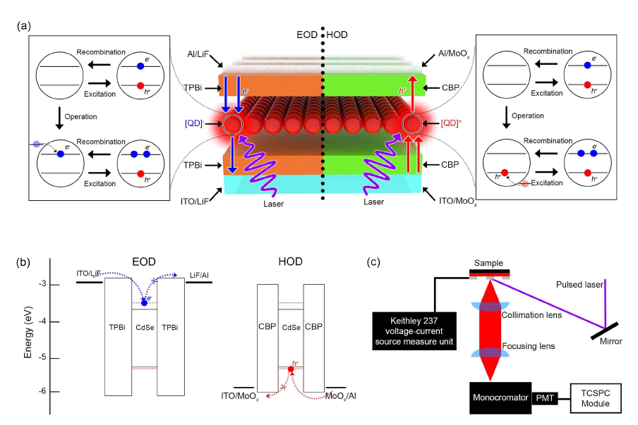 트라이온 측정을 위한 소자 형태의 신규 측정 방식 (a) 단일 전자 소자 및 단일 정공 소자의 모식도 (b) 단일 전자 소자 및 단일 정공 소자의 에너지 밴드 구조 (c) 소자의 광학적 측정 방식