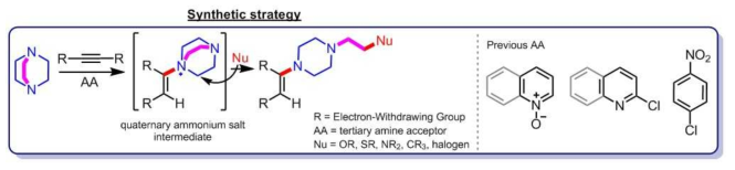 N-ethylpiperazine의 골격을 가진 헤테로 고리 화합물 합성을 위한 반응 연구