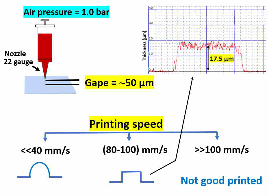 프린팅 속도와 두께의 영향