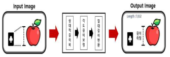 크기 정보 추출 방법