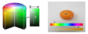 HSV 색 공간 [그림]귤의 H, S정보