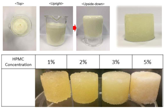 오가노젤 외형 및 HPMC 농도에 따른 오가노젤