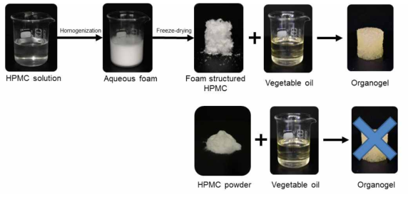 바이오폴리머-오가노젤 형성을 위한 물리적 조건 비교