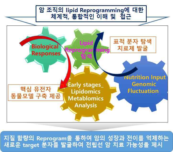 지질재편을 주도하는 분자의 연계 연구 아세포의 지질재편을 조절하는 분자 상호 작용 및 기관의 기능을 강화하고, 손상된 기관을 회복하는 기전을 규명하여 만성 질환 치료를 위한 동물 모델 등의 기반구축