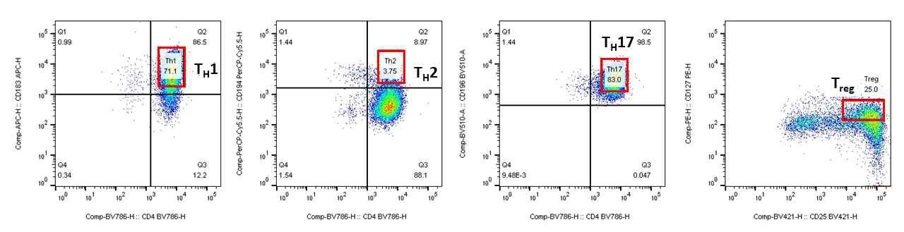 T 세포 분화모델의 FACS 분석결과