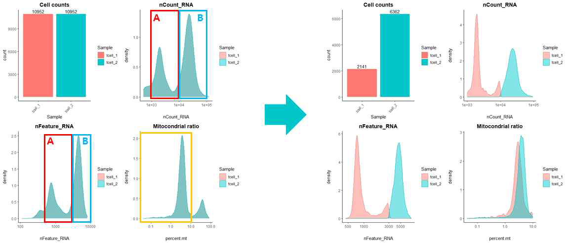 10X genomics 단일세포 RNA 시퀀싱 후 QC 결과