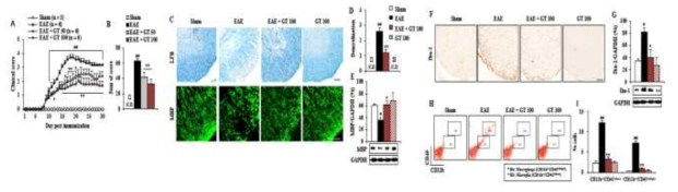 다발성경화증 동물모델(EAE)에 진토닌을 투여한 후, 행동검사(A, B), LFB 염색(C,D), MBP에 대한 면역형광염색(C,E), Iba-1에 대한 면역조직화학염색(F,G) 및 유세포분석(H,I)