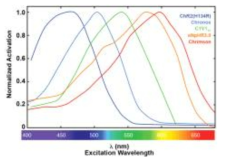 광유전자 자극 파장대역 (출처: EuroPhotonics, March 2015)