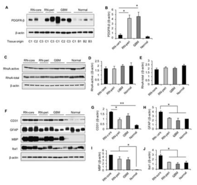 Analysis of cell-specific markers