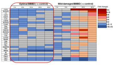 유전체 분석을 통한 optimal BBBD 조건에 대한 생물학적 안정성 확인