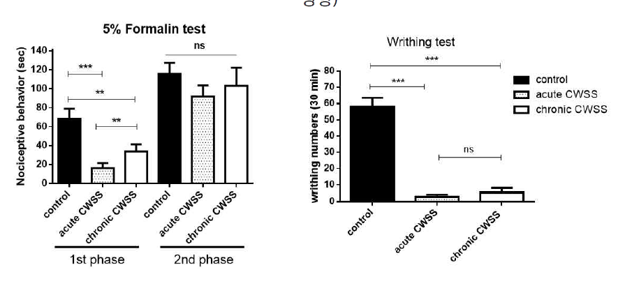 급성 및 만성 CWSS 스트레스가 fomalin에 의하여 유도되는 통증반응과 Writhing 반응에 미치는 영향