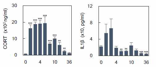 CORT 농도 및 IL-1β 농도