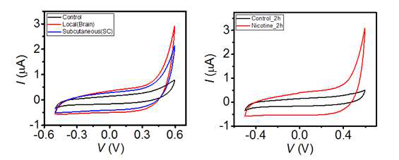 Nicotine local 및 subcutaneous injection 후 CV 측정 및 real-CSF에서 dopamine CV 측정