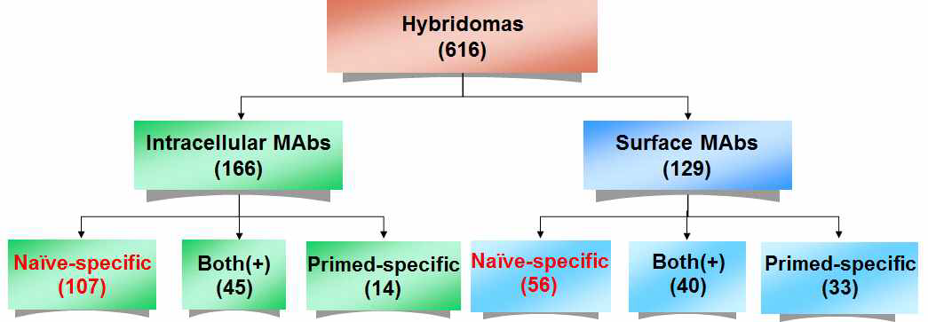 Generation of hybridoma clones by decoy immunization. 항체를 생산하는 616개의 hybridoma clone 중 129개 세포표면을 인식하는 clone과 166개 세포내부를 인식하는 clone을 얻었고, 본 연구의 목적에 맞는 naive hPSC-specific mAbs는 163개 clone을 얻음