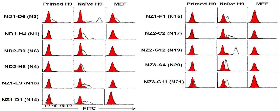 Representative naive hPSC-specific surface mAbs. naive H9 세포에는 결합하지만 primed H9 및 MEF 세포에는 결합하지 않거나 약하게 결합하는 단일클론항체군