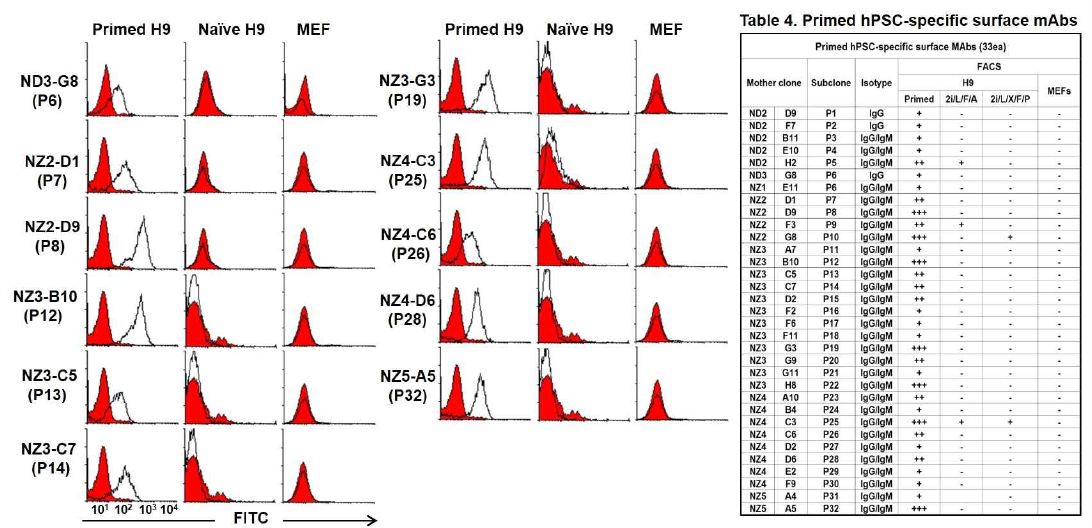 Representative primed hPSC-specific surface mAbs. primed H9세포에는 결합하지만, naive H9 및 MEF 세포에는 결합하지 않거나 약하게 결합하는 단일클론항체군
