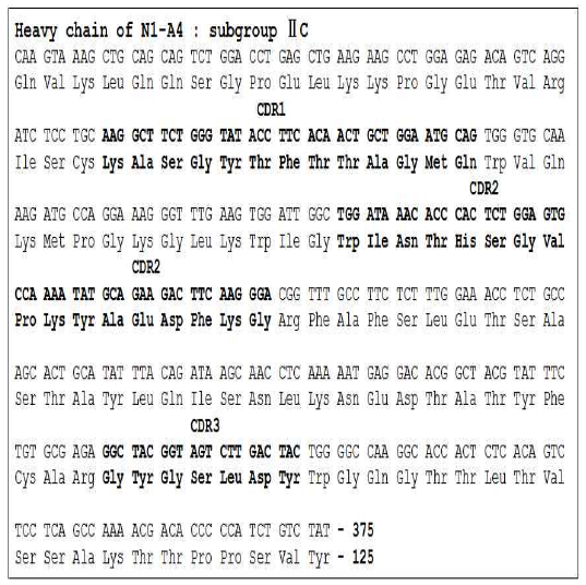 Amino acid sequence of N1-A4 heavy chain. N1-A4 중쇄는 서브그룹 IIC 에 속하고, CDR1 은 23-35, CDR2 는 50-65, CDR3 는 95-102 에 해당함