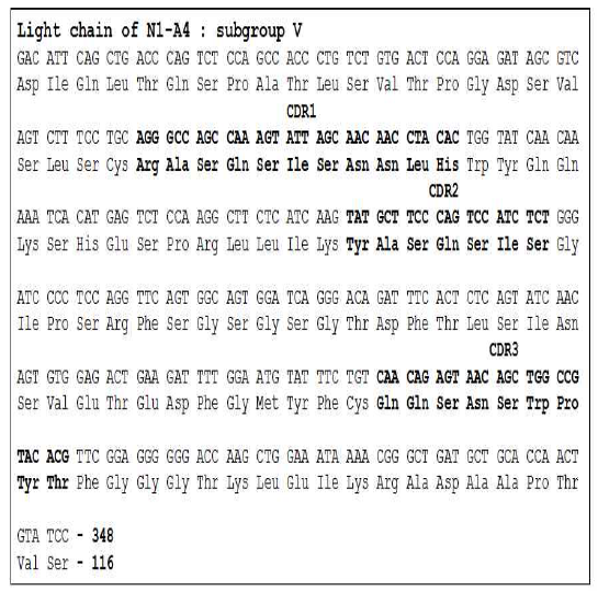 Amino acid sequence of N1-A4 light chain. N1-A4 의 경쇄는 서브그룹 V 에 속하고, CDR1 은 24-34, CDR2 는 50-56, CDR3 는 89-97 에 해당함