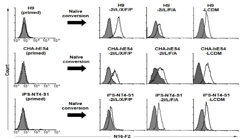 Flow cytometry analysis of various naive hPSCs with N16-F2. Primed H9, CHA-hES4, iPS-NT4-S1과 3가지 primed 세포를 2i/L/F/A, 2i/L/X/F/P 및 LCDM 배지에서 배양한 9가지 naive 인간 만능 줄기세포에 대한 N16-F2 의 결합력. 실선은 N16-F2의 결합력, 회색 바탕은 2차 항체만 반응시킨 것임