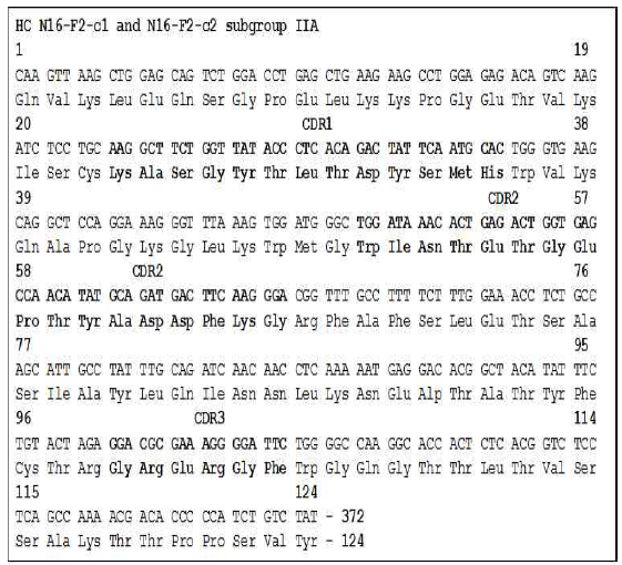 Amino acid sequence of N16-F2 heavy chain. N16-F2 의 c1 과 c2 항체의 중쇄는 서브그룹 IIA 에 속하고, 항원을 인식하는 CDR1 은 23-35, CDR2 는 50-66, CDR3 는 99-104 에 해당함