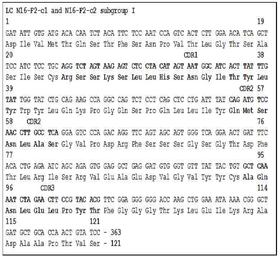 Amino acid sequence of N16-F2 light chain. N16-F2 의 c1 과 c2 항체의 경쇄는 서브그룹 I 에 속하고, 항원을 인식하는 CDR 잔기는 CDR1 은 24~39, CDR2 는 55~62, CDR3 는 94~102 에 해당함