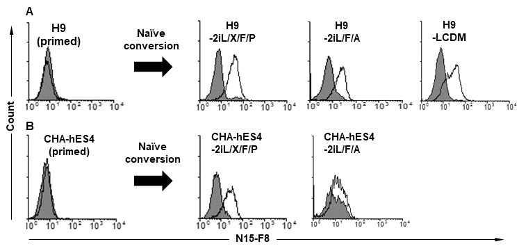 Flow cytometry analysis of various naive hPSCs with N15-F8. Primed H9, CHA-hES4와 2가지 primed 세포를 2i/L/F/A, 2i/L/X/F/P 및 LCDM 배지에서 배양한 5가지 naive 인간 만능줄기세포에 대한 N15-F8의 결합력. 실선은 N15-F8의 결합력, 회색바탕은 2차 항체만 반응시킨 것임