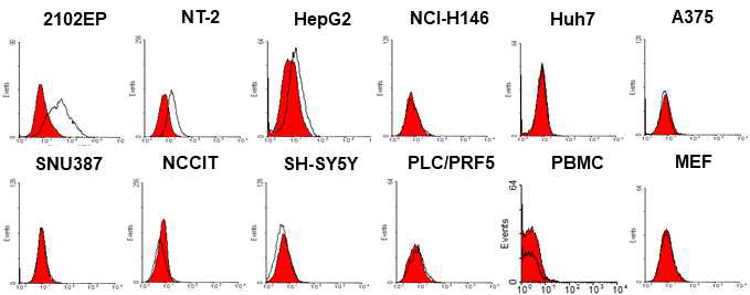 Binding capacity of N15-F8 in various cells. 다양한 cancer cells, MEF, PBMC에서 N15-F8 항체의 결합력. 실선은 항체의 결합력을 나타냄