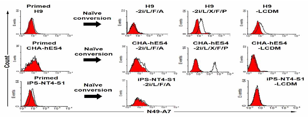 Flow cytometry of various naive hPSCs with N49-A7. Primed H9, CHA-hES4, iPS-NT4-S1과 3가지 primed 세포를 2i/L/F/A, 2i/L/X/F/P 및 LCDM 배지에서 배양한 9가지 naive 인간 만능줄기세포에 대한 N49-A7의 H9, CHA-hES4의 naive 에만 결합함