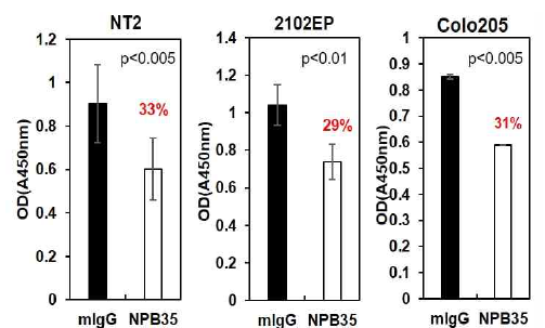 NPB35-A5 처리에 의한 세포성장 억제. 암세포 (NT-2, 2102EP, Colo205)에 mIgG 또는 NPB35-A5 항체 (5ug/ml)를 처리한 결과 세포 성장률이 각각 33%, 29%, 31% 정도 저해됨