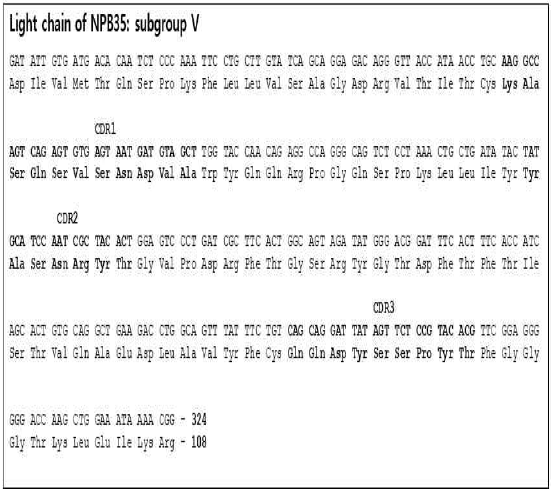 NPB35-A5 경쇄 아미노산 서열. 경쇄는 서브그룹 V 이고, CDR1 은 24-34, CDR2 는 50-56, CDR3 는 88-97 임