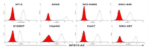 Flow cytometry로 NPB15-A5 (NPB15 subclone)의 다양한 암세포 (NT-2, 2102EP, A549, H358, H460, HUh7, HepG2, SNU-449, SNU-387)에 결합능력 분석