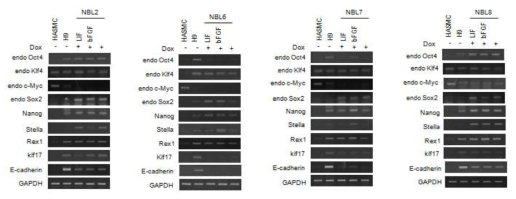 Naive iPSC 배양 시 cytokine 의존도 조사