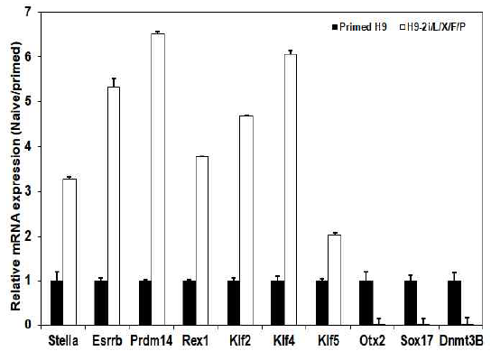 primed과 naive H9 (H9-2i/L/X/F/P) 세포에서 naive/primed gene 발현 비교. 2i/L/X/F/P에서 naive gene의 발현이 증가하고, primed gene인 Otx2, Sox17, Dnmt3B가 감소함