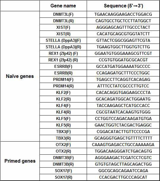 Primers of naive and primed genes