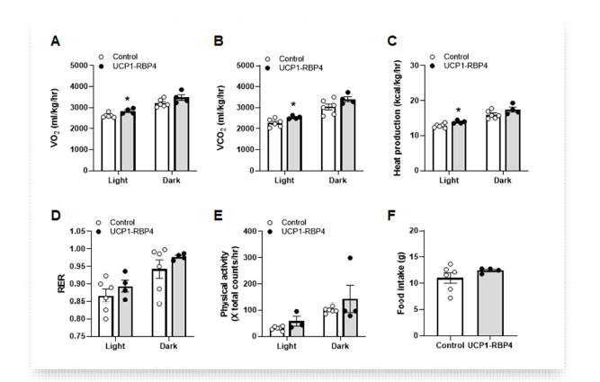 일반식이를 섭취한 갈색지방 특이적 RBP4 마우스의 metabolic cage 분석. *, p<0.05