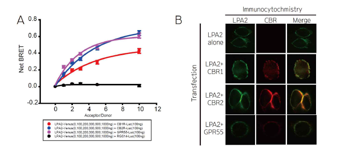 CBR1-LPA2의 결합분석(선행연구)