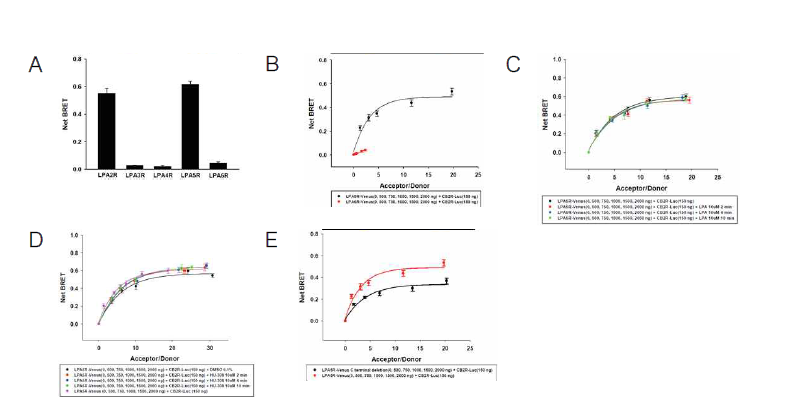 CBR2-LPA5의 BRET분석