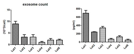 줄기세포 lot 별 엑소좀 생산량 비교 및 조혈 인자 함유량 비교