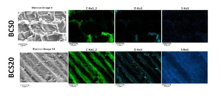 SEM-EDS images of unmodified biochar (BCS0) and S-impregnated biochar (BCS20)