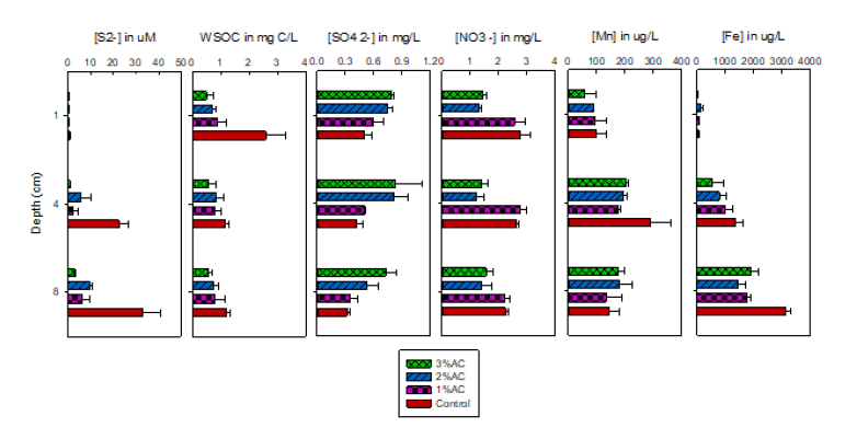 Concentrations of important geochemical species (n = 4-6) in the sediment pore water at various depths. WSOC: water soluble organic carbon; AC: activated carbon