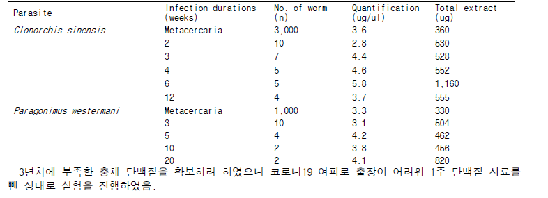 Protein extraction from each parasite according to develpomental stages