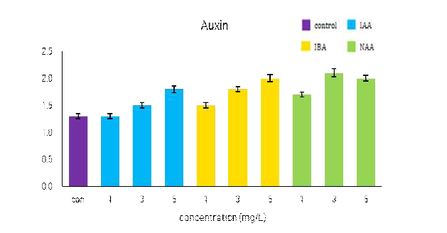 수선화 재배시 auxin(IAA,IBA, NAA)이 자구 형성에 미치는 영향