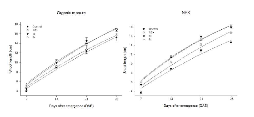석산 유기질 및 무기질 시비 시 shoot 신장 조사