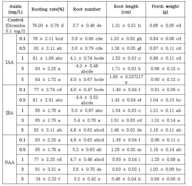 Dicamba 0.1 mg/l와 IAA, IBA, NAA 농도별 혼합 처리가 석산 캘러스로부터 부정근 유도에 미치는 영향