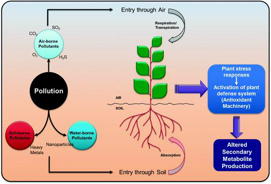 중금속이 식물 이차대사에 미치는 영향 (Kumar V., Khare T., Arya S., Shriram V., Wani S.H. (2017) Effects of Toxic Gases, Ozone, Carbon Dioxide, and Wastes on Plant Secondary Metabolism. In: Ghorbanpour M., Varma A. (eds) Medicinal Plants and Environmental Challenges. Springer, Cham)